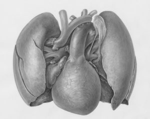 Photo kardioprotekcyjne