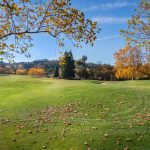 Photo Qigong therapy